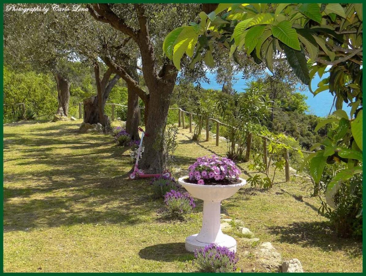 Villa Pierina Finale Ligure Buitenkant foto