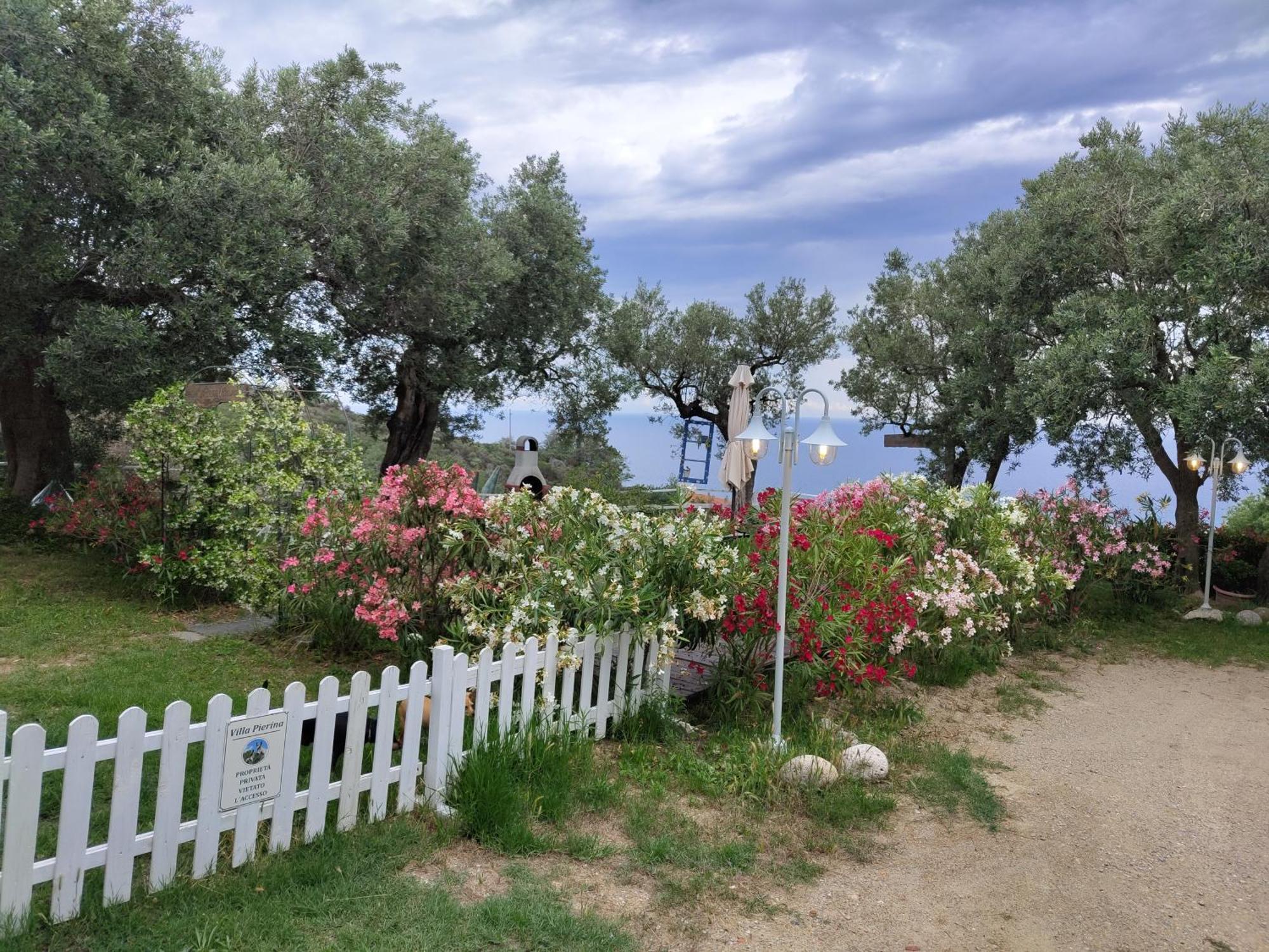 Villa Pierina Finale Ligure Buitenkant foto